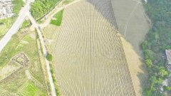 载文章的做者或单元分歧意转载